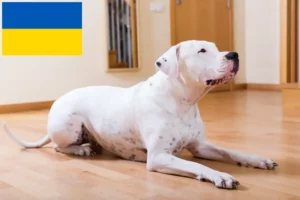 Scopri di più sull'articolo Allevatori di Dogo Argentino e cuccioli in Ucraina