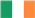 Allevatore di Leonberger in Irlanda