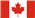 Allevatore di Cocker Spaniel Americani in Canada